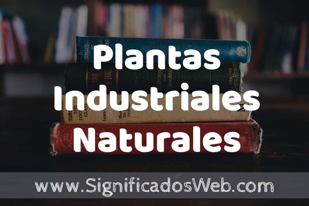 Concepto de Plantas Industriales Naturales ▶️¿Que es? Definición, Significado y EJEMPLOS