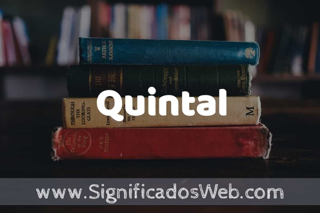 Concepto de Quintal ▶️¿Que es? Definición, Significado y EJEMPLOS