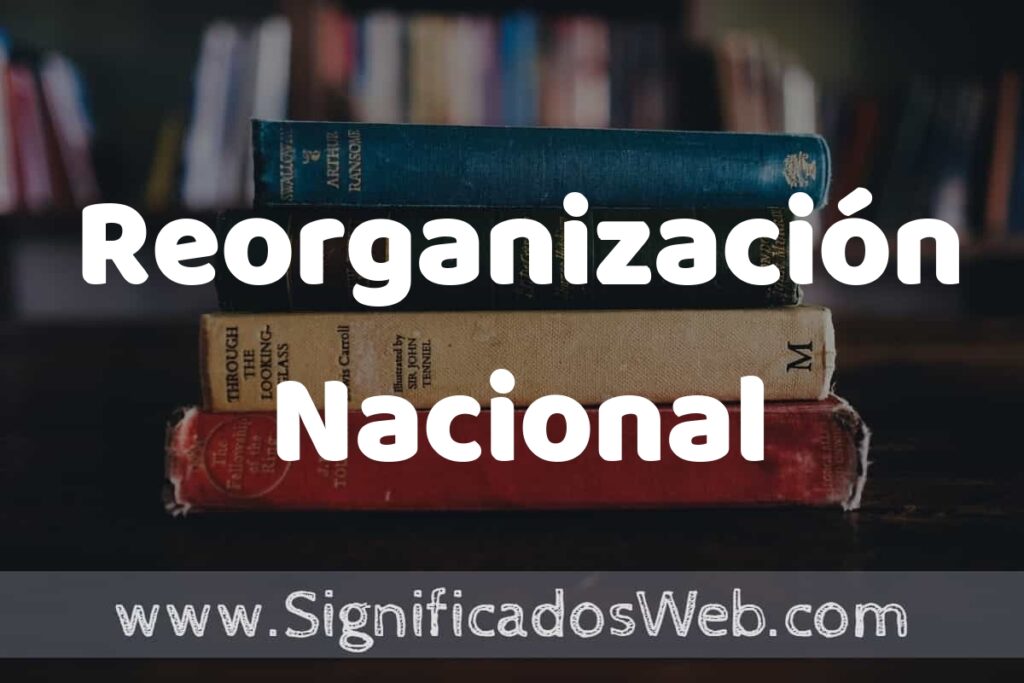 Concepto de Reorganización Nacional ▶️¿Que es? Definición, Significado y EJEMPLOS