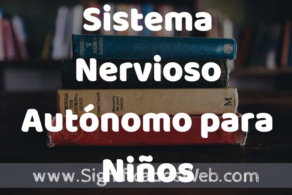 Concepto de Sistema Nervioso Autónomo para Niños ▶️¿Que es? Definición, Significado y EJEMPLOS