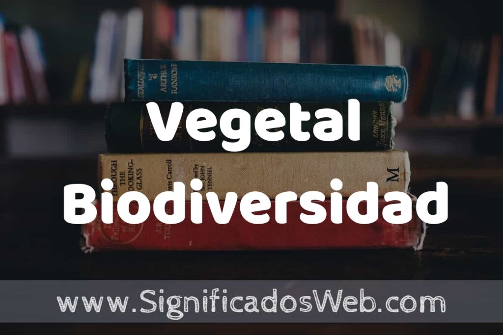 Concepto de Vegetal Biodiversidad ▶️¿Que es? Definición, Significado y EJEMPLOS
