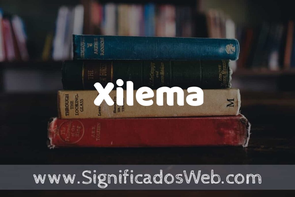 Concepto de Xilema ▶️¿Que es? Definición, Significado y EJEMPLOS